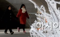 [포토]'추위 속 얼음 나무'