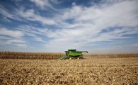 곡물 수입대국 중국이  미국산 옥수수 54.5만t 통관거절한 이유?