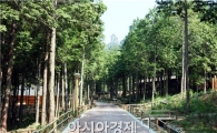 장흥군 " 편백숲 우드랜드" 치유효과 밝혀져
