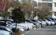 [단독]"아파트 주차장 유료 개방은 불법" 파장