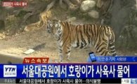 [단독]서울시 "동물원 관리는 정부가"‥재정 갈등 2라운드?