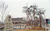 장성군, 버려질 나무로 ‘7억원’ 예산 절감  