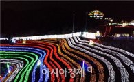[포토]보성차밭 빛축제, 전구 120만개의 향연 관광객 사로잡아