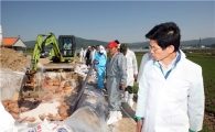김문수지사 '조류인플루엔자' 직접 챙긴다