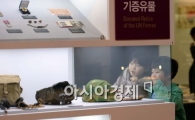 [포토]전쟁기념관 '기증실' 찾은 어린이들