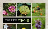 자연치료에 좋은 우리나라 자생식물 540종 한 눈에