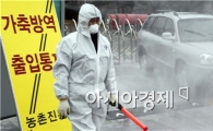 충남·경기 평택서도 AI 의심신고…'방역 강화' 