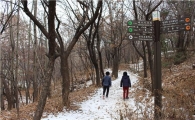 눈 쌓인 동작충효길 함께 걸어봐요