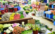 [포토]한산한 꽃시장