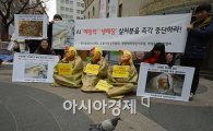 [포토]비둘기도 참가한 살처분 반대 캠페인