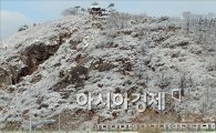[포토]눈꽃 만발한 응봉산