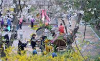 목포시 ‘유달산 꽃 축제’ 프로그램 공모 