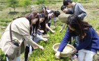 ‘보성다향제 녹차대축제’ 5월2일 개막