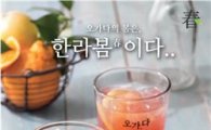 카페 오가다, 봄맞이 '제주 한라봉' 5종 출시