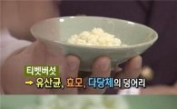 티벳버섯 무료분양 관심 줄이어… 맛있게 먹는법은?