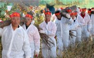 “개인산림지 내 재선충병 소나무도 4월까지 벌목”