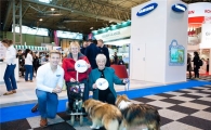 삼성전자, 英 명견 경연대회 '크러프츠' 후원