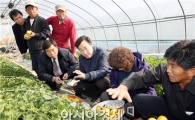 이낙연 의원, 참외수확 현장 방문 “시설비 지원 등 방안 등 강구”