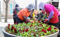 [포토]광주 동구, 도심 가로화단 봄꽃 식재