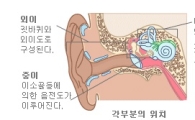 청력까지 잃게 하는 메니에르병 증상, 예방법은?