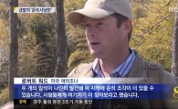 고창운석, 둑 근처서 30개 무더기 발견 "지붕위로 불기둥 지나갔다"