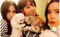 가비엔제이, 고양이 안고 가족사진 "25일 컴백 무대 기대되네"