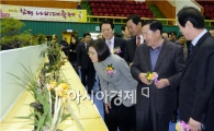 [포토]난 명품대전 관람하는 안병호 함평군수