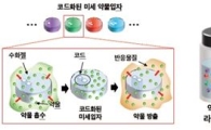 초고속 바이오 분석칩…신약개발 시간·비용 줄였다