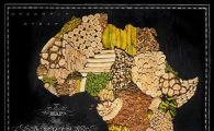 음식으로 만든 세계 지도, 중국 국수 미국 옥수수 한국은 된장?