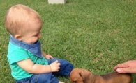 개를 처음 본 아기들, 개가 귀여운 아기 발을 "앙~ 물어"