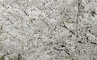[오늘날씨]서울 낮 22도 초여름 더위…내일 고온현상 한풀 꺾여