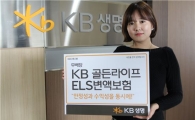 KB생명, '(무)골든라이프ELS변액보험' 판매