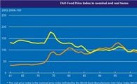 세계 식량가격 10개월래 최고…급등세 계속될 듯