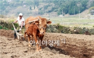 상장사 2분기 성적표…뿌린대로 거두었다