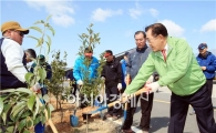 [포토]나무심는 박준영 전남도지사