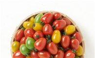 롯데마트, 이색 토마토 20~30% 할인 판매 