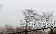 [포토]'앞이 안보여..'