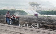 [포토]올 풍년농사를 기원하는 농부들의 분주한 밭갈이