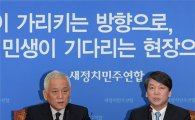 새정치 기초선거 공천 결정…향후 계획은?