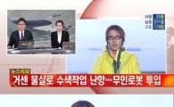 홍가혜 체포, 흥분상태로 인터뷰…"민간잠수사 말한 사실 없다"