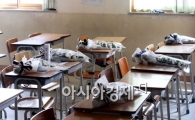 [포토]국화가 책상에 고스란히....