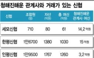 2000억 꿔준 신협8곳·산업은행, 유병언家 돈줄?