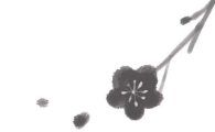 [千日野話]퇴계·두향, 꽃지는 날도 합방례를…(75)