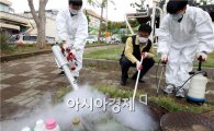 [포토]광주 북구 보건소, 모기 유충구제 방역 활동 실시
