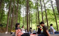 산림청, ‘숲 태교 프로그램’ 참가 희망 임산부 모집