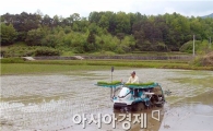 구례군 첫 모내기 실시