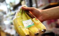 日, 필리핀 바나나 값 뛰자 모잠비크서 수입