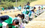 [포토]광주북구·새마을회, 5·18민주묘지 환경정화활동
