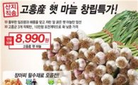 롯데슈퍼, 고흥산 '햇마늘' 8990원에 판매 