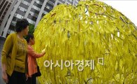 [포토]세월호 희생자를 위한 '못다 핀 꽃'